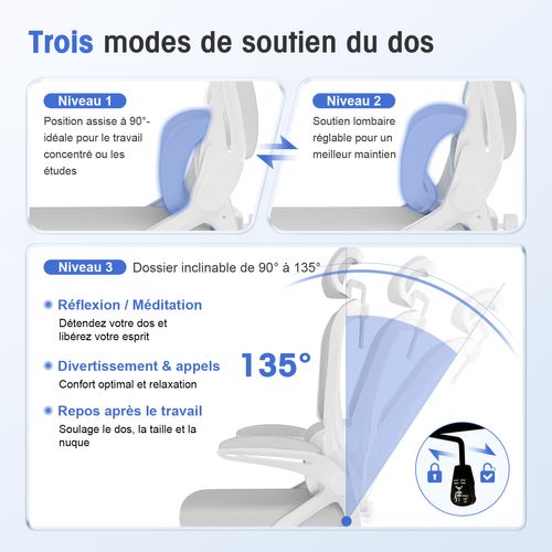 Chaise De Bureau Ergonomique,fauteuil De Bureau , Inclinable Pivotant, Support Lombaire, Appui-tête