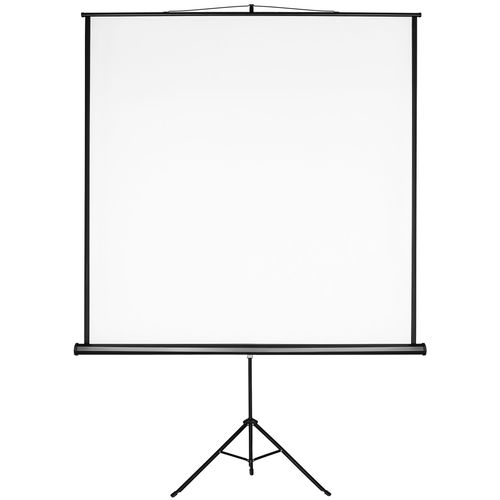 1 écran De Projection En Polyester Blanc