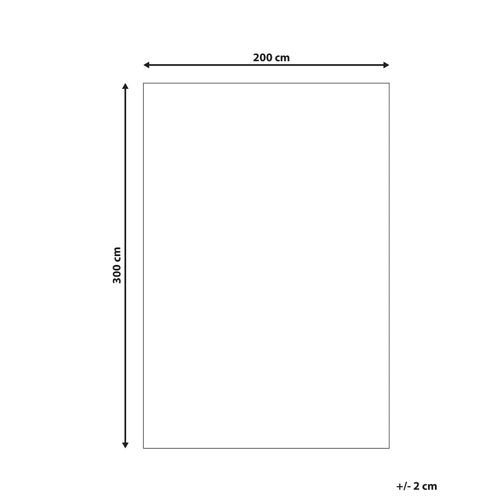 Tapis Gris Clair 200 X 300 Cm Demre