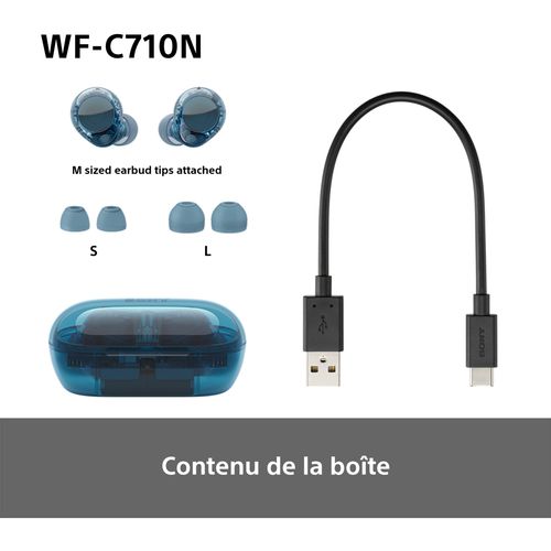 Ecouteurs intra auriculaire SONY WF-C710NL vue accessoires