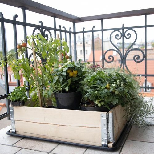 Carré Potager Gardenbox 120 X 80 Cm Naturel
