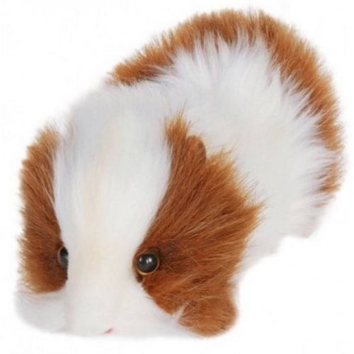 Cobaye Roux Et Blanc 20cm