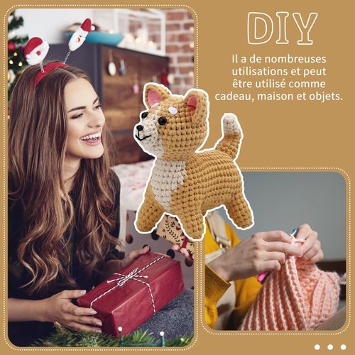 Ce Kit De Crochet Pour Débutants Comprend Des Instructions Et Convient Aux Adultes Et Aux Enfants