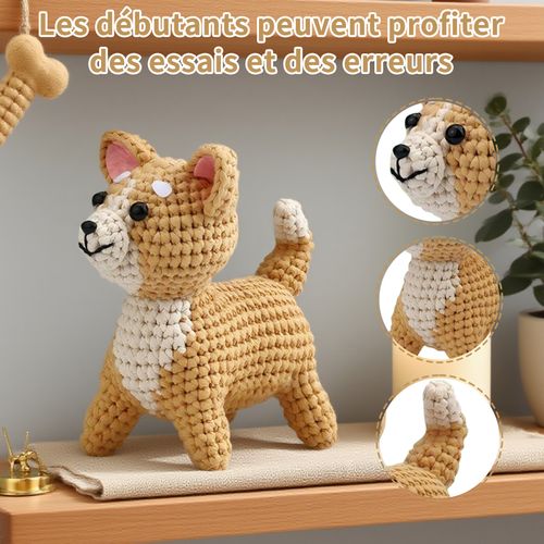 Ce Kit De Crochet Pour Débutants Comprend Des Instructions Et Convient Aux Adultes Et Aux Enfants