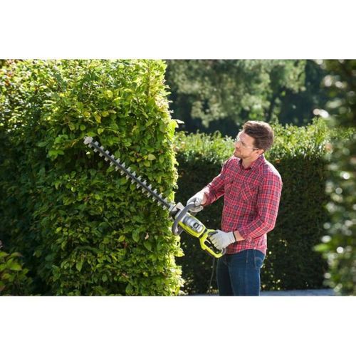 Taille-haies Électrique 800w Rht8165rl - Lame De 65 Cm