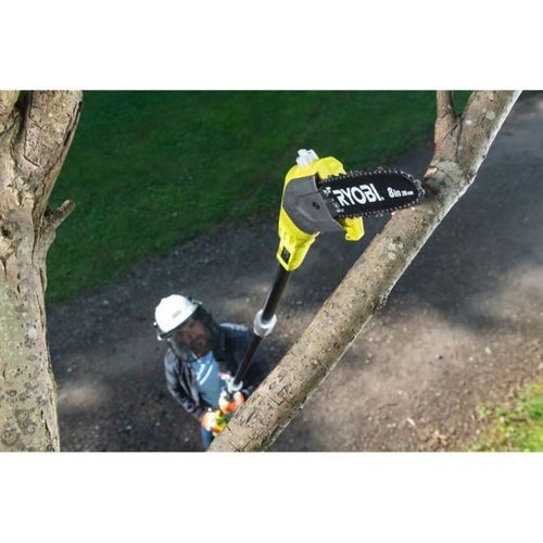 Élagueur Sur Perche Sans Fil 18 V, Guide 20 Cm, Rallonge 95 Cm