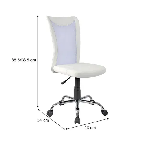 Fauteuil de bureau Luxe 2 Blanc