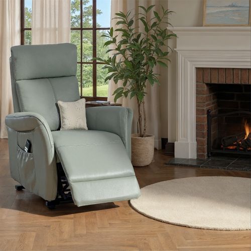 Fauteuil releveur électrique 2 moteurs HAMILTON II cuir et croûte de cuir vue d'ambiance 1