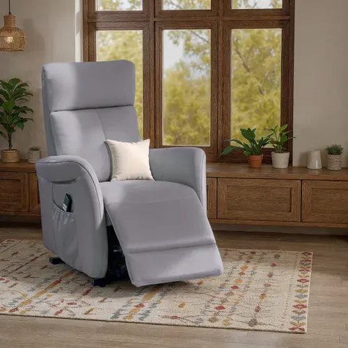 Fauteuil releveur électrique 2 moteurs HAMILTON II cuir et croûte de cuir vue d'ambiance 1