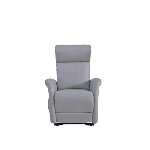 Fauteuil releveur électrique 2 moteurs HAMILTON II cuir et croûte de cuir