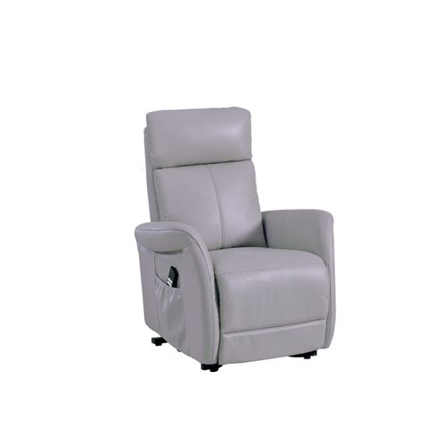 Fauteuil releveur électrique 2 moteurs HAMILTON II cuir et croûte de cuir