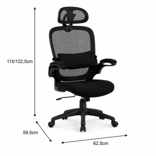 Fauteuil de bureau ergonomique avec coussin lombaire BENJAMIN noir