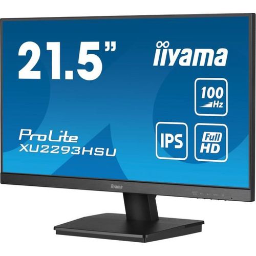 Écran 21,5" Full HD Ips 100 Hz 1 Ms HDMI/dp Avec USB Hub