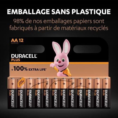 Piles Alcalines Aa Plus, 1.5 V Lr6 Mn1500, Paquet De 12