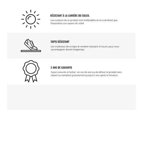 Tapis Style Berbere Bohemia - 200x290cm