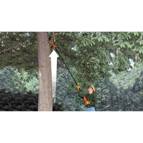 Coupe-branches 20 Cm 18v 2 Ah Gpc1820l20-qw Tendeur De Chaîne Avec Clé