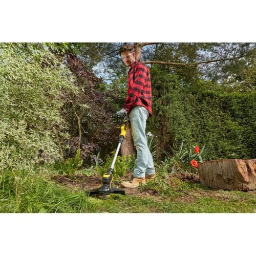 Taille-herbe Sans Fil 18 V 33 Cm, Batterie 4 Ah Et Chargeur