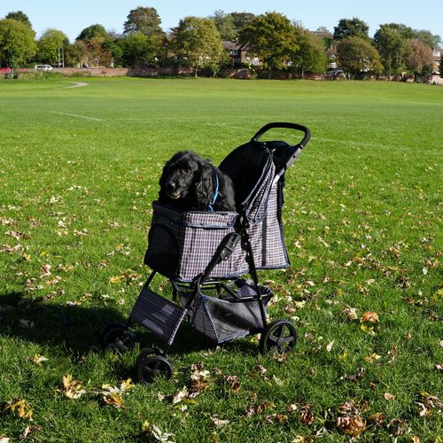 Poussette Pour Animal De Compagnie – Tartan Bleu