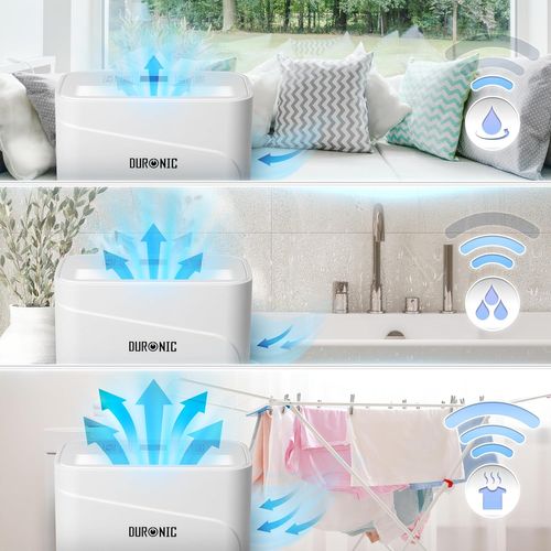 Dh121 Déshumidificateur 300w Jusqu'à 12l D'eau Par Jour Réservoir 2,1l Minuteur 1 à 24h