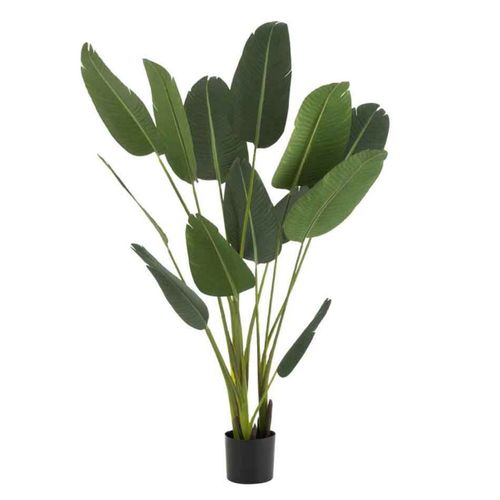 Plante Artificielle En Pot "strelitzia" 189cm Vert