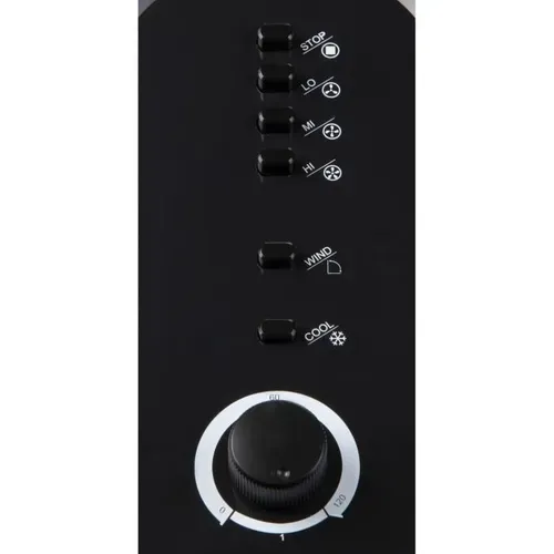 Refroidisseur D'air 67 Cm 70 W Noir Et Blanc