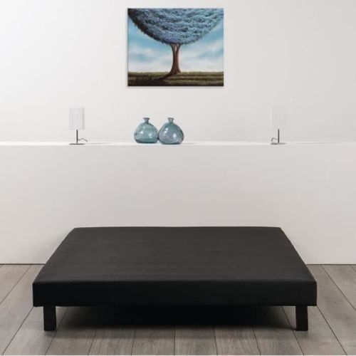 Rakenne Sommier Tapissier 160x200 - Pin Massif, 12 Lattes, Noir