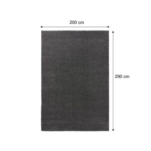 Tapis 200x290 cm MULTI Gris