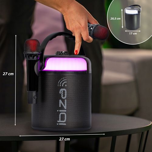 Enceinte Karaoké IBIZA KARAHOME-BK