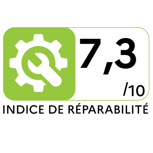 Aspirateur à Cuve Avec Ou Sans Sac 79db Noir/argent - 107418491