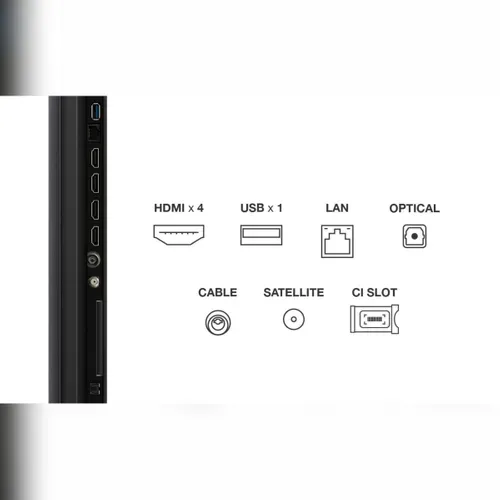 Téléviseur QLED 55'' 140 cm TCL 55T69C vue de derrière