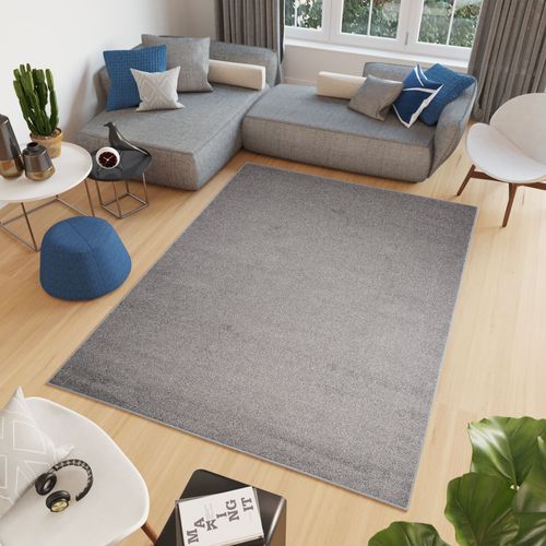 Tapis Séjour Bureau Gris Unicolore Fin Tufté Feutre 120 X 170 Cm