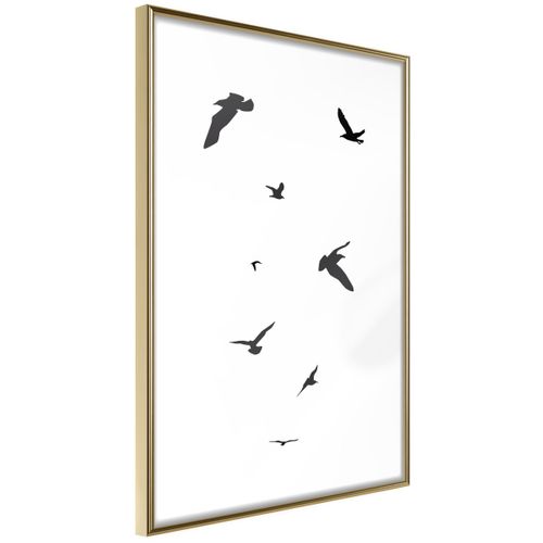 Affiche Murale Encadrée "birds" 30 X 42 Cm Doré