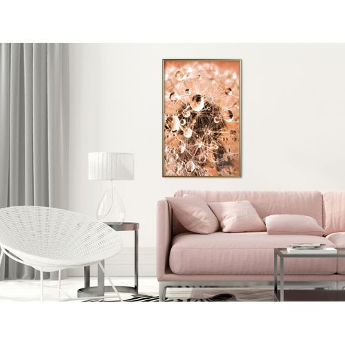 Affiche Murale Encadrée "drops On Dandelion" 40 X 60 Cm Doré