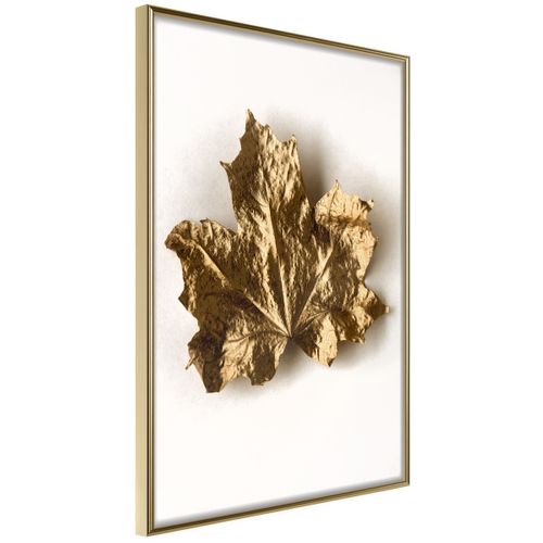 Affiche Murale Encadrée "dried Maple Leaf" 40 X 60 Cm Doré