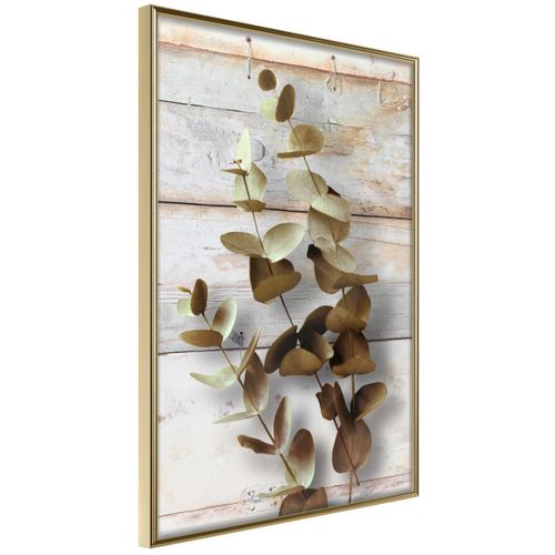 Affiche Murale Encadrée "decorative Twigs" 30 X 42 Cm Doré