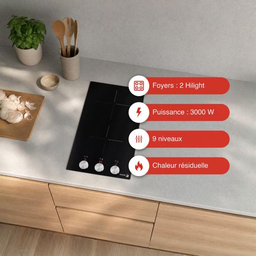 Table vitrocéramique FAGOR FTV2520T 2 foyers