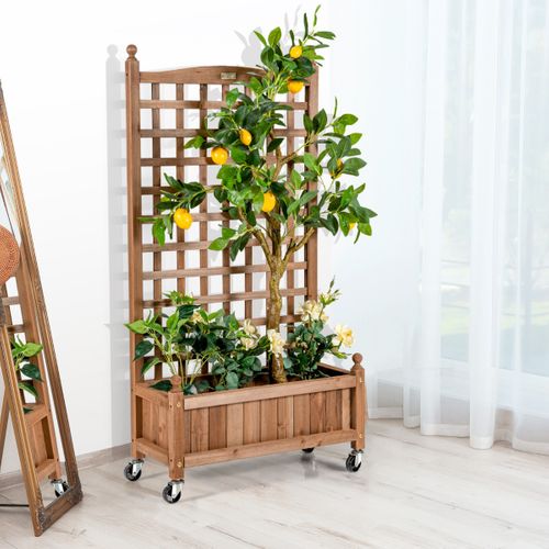 Jardinière Avec Treillis Bac à Fleurs à Roulettes Et Trou De Drainage 64x28x127cm Bois