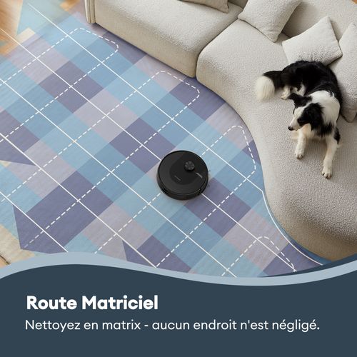 DL10 Robot Aspirateur Laveur – 6000 Pa, Navigation LiDAR, 200Min, Spécial Poils & Moquettes