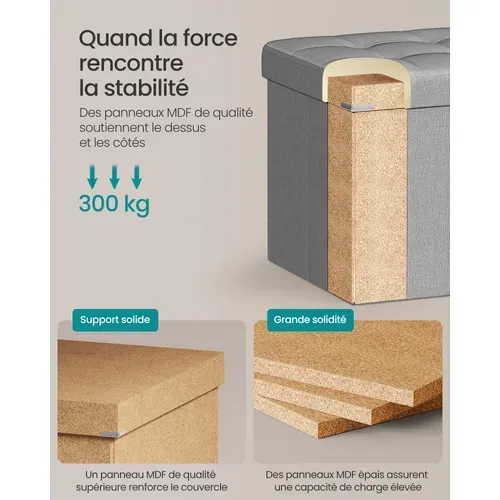 Banc Avec Espace De Rangement, Pliable, Capacité De Charge 300 Kg, 131 L, Gris Clair