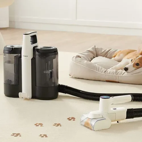 Nettoyeur Carpet One Spot Essentials
