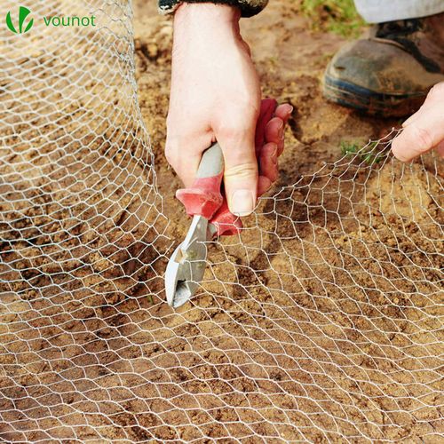 Grillage à Poule Avec Fils 25mm En Acier Galvanise 1x25m