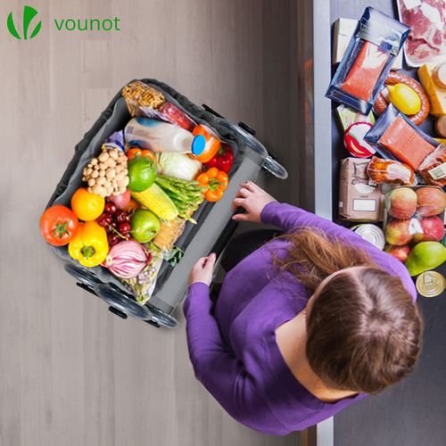 Chariot De Courses Pliable Monte Escalier Aluminium Gris