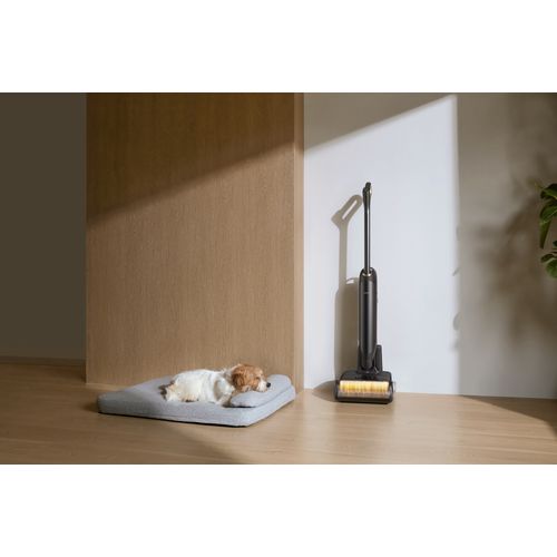 Aspirateur Balai Laveur Mova M10