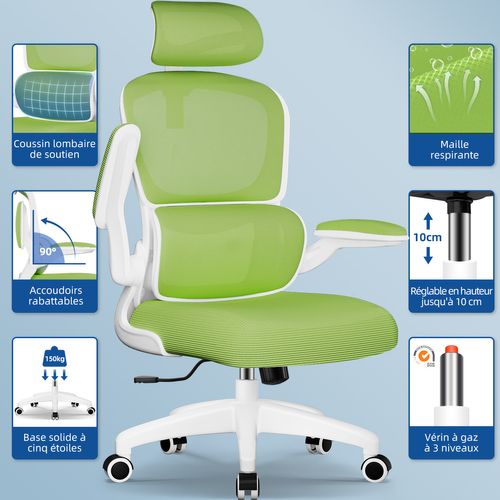 Fauteuil De Bureau, Accoudoirs Pliable, Inclinable, Soutien Lombaire Ergonomique,turquoise