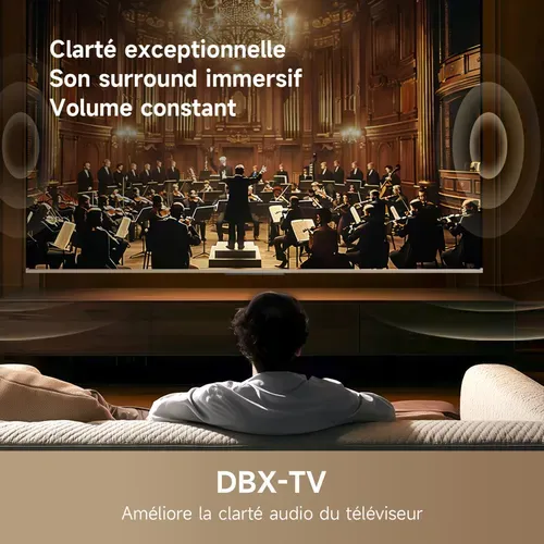 Téléviseur HD 43'' 108 cm DREAME DRTVQ10043N - 4K - Smart TV