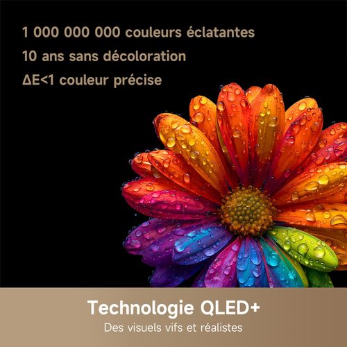 Téléviseur HD 55'' 140 cm DREAME DRTVQ10055N - 4K - Smart TV