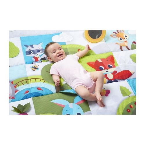 Tapis Deveil Geant Dans La Prairie