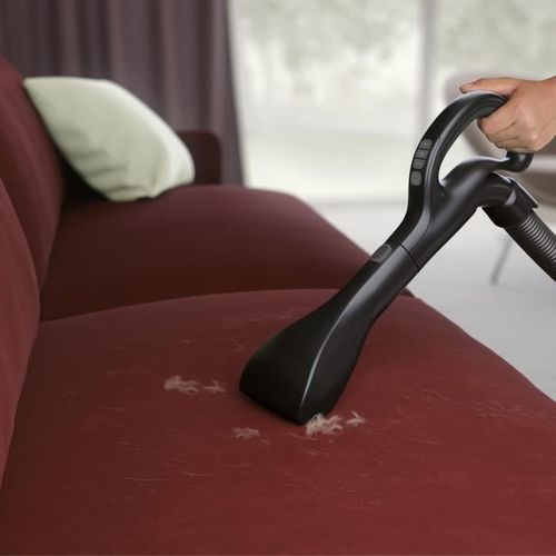 Aspirateur traîneau Avec Sac Antiodeur Pure D8 - Pd82-anima - Ultra Silencieux 57db - Rayon 12m