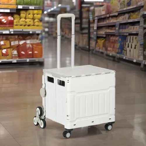 Caddie Pliable Avec Poignée Réglable Et Couvercle, Monte-escalier 80 Kg, , Blanc