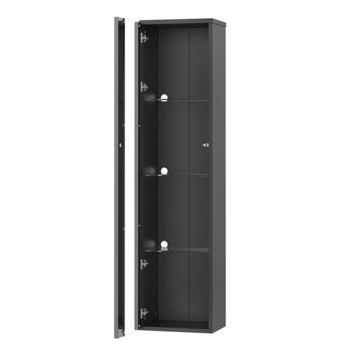 Vitrine Noire 170 Cm Avec éclairage LED Rgb, étagères Et Vitres En Acrylique